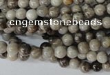 CSL10 15.5 inches 4mm round silver leaf jasper beads wholesale