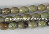 CSL103 15.5 inches 8*10mm rice silver leaf jasper beads wholesale