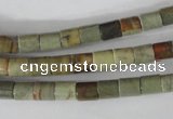 CSL111 15.5 inches 6*6mm column silver leaf jasper beads wholesale