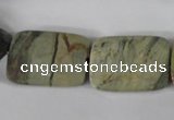 CSL121 15.5 inches 18*25mm faceted rectangle silver leaf jasper beads