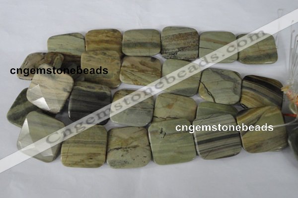 CSL122 15.5 inches 30*30mm faceted square silver leaf jasper beads