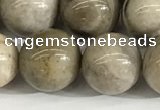 CSL154 15.5 inches 12mm round 

sliver leaf jasper beads wholesale