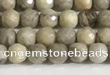 CSL156 15.5 inches 4mm faceted 

round sliver leaf jasper beads