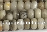 CSL162 15.5 inches 3*4.8mm 

rondelle sliver leaf jasper beads wholesale