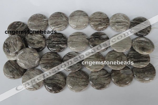 CSL35 15.5 inches 30mm flat round silver leaf jasper beads wholesale