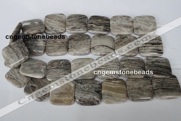 CSL57 15.5 inches 30*30mm square silver leaf jasper beads wholesale