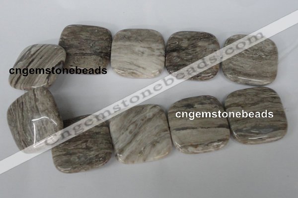 CSL59 15.5 inches 40*40mm square silver leaf jasper beads wholesale