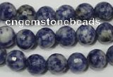 CSO303 15.5 inches 10mm faceted round Brazilian sodalite beads