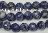 CSO303 15.5 inches 10mm faceted round Brazilian sodalite beads