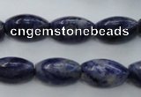 CSO359 15.5 inches 11*18mm trihedron natural sodalite beads