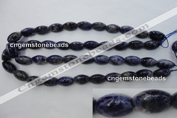 CSO359 15.5 inches 11*18mm trihedron natural sodalite beads