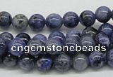 CSO41 15.5 inches 8mm round sodalite gemstone beads wholesale