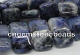 CSO44 15.5 inches 14*14mm square sodalite gemstone beads wholesale