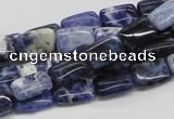 CSO45 15.5 inches 8*12mm rectangle sodalite gemstone beads wholesale