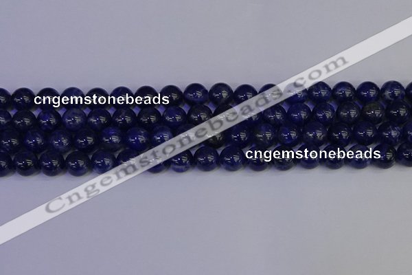 CSO503 15.5 inches 10mm round sodalite gemstone beads wholesale