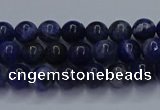 CSO610 15.5 inches 4mm round sodalite gemstone beads wholesale