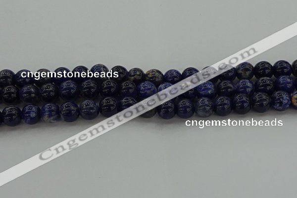 CSO634 15.5 inches 10mm round sodalite gemstone beads wholesale