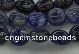 CSO670 15.5 inches 10mm flat round sodalite gemstone beads