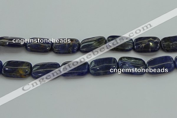 CSO700 15.5 inches 18*25mm rectangle sodalite gemstone beads