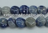 CSO80 15.5 inches 12mm flat round sodalite gemstone beads wholesale