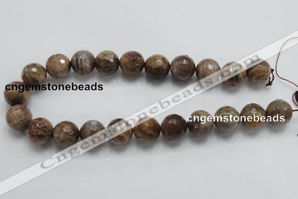 CSS101 15.5 inches 18mm faceted round natural sunstone beads wholesale