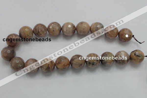 CSS102 15.5 inches 20mm faceted round natural sunstone beads wholesale