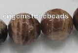 CSS103 15.5 inches 22mm faceted round natural sunstone beads wholesale