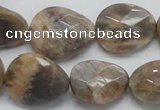 CSS111 15.5 inches faceted freeform natural sunstone beads wholesale