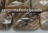 CSS115 15.5 inches 20*30mm faceted rectangle natural sunstone beads