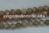 CSS241 15.5 inches 6mm round natural sunstone beads