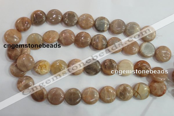 CSS260 15.5 inches 20mm flat round natural sunstone beads