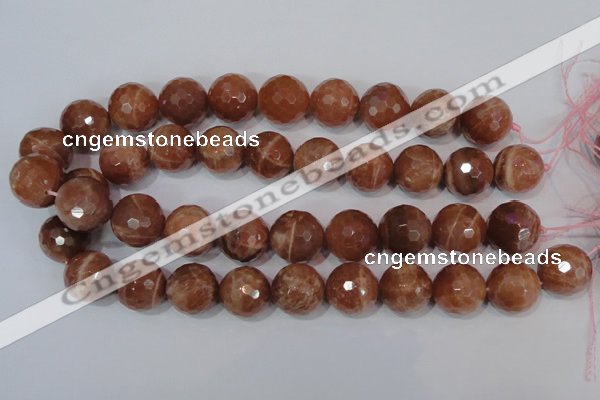 CSS511 15.5 inches 19mm faceted round natural golden sunstone beads