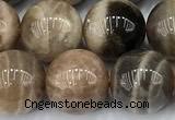 CSS842 15 inches 10mm round sunstone gemstone beads