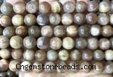 CSS863 15 inches 10mm round sunstone beads wholesale