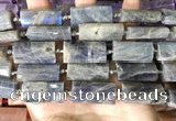 CTB674 14*27mm - 15*28mm faceted flat tube labradorite beads