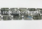 CTB857 13*25mm - 15*28mm faceted flat tube labradorite beads