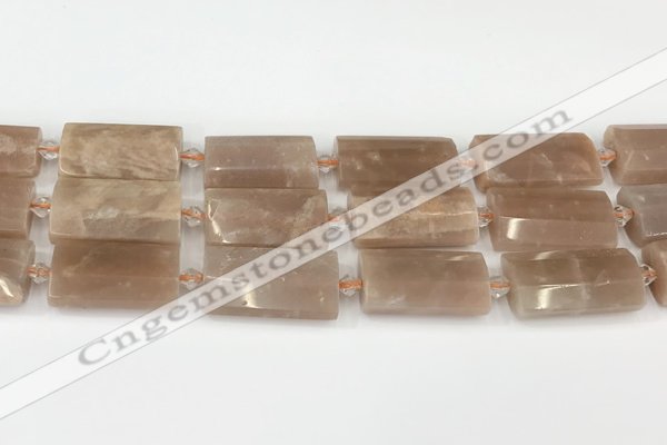 CTB861 13*25mm - 15*28mm faceted flat tube moonstone beads