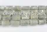 CTB876 13*25mm - 14*19mm faceted tube moonstone beads