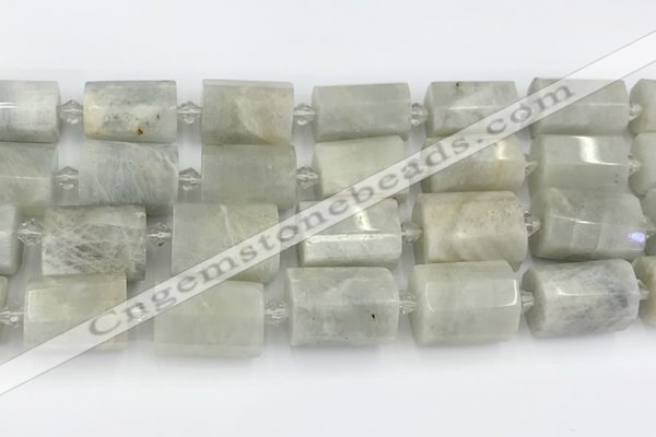 CTB876 13*25mm - 14*19mm faceted tube moonstone beads