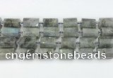 CTB878 13*25mm - 14*19mm faceted tube labradorite beads