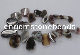 CTD1618 Top drilled 15*25mm - 30*45mm freeform botswana agate beads