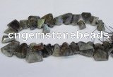 CTD2103 Top drilled 15*25mm - 25*30mm freeform labradorite beads