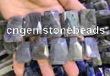 CTD2105 Top drilled 20*28mm - 22*32mm faceted freeform labradorite beads