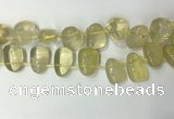 CTD2142 Top drilled 15*25mm - 18*25mm freeform lemon quartz beads