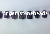 CTD2144 Top drilled 15*25mm - 18*25mm freeform dogtooth amethyst beads