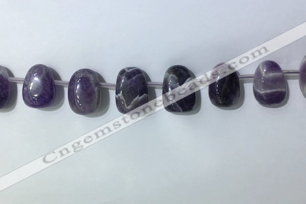 CTD2144 Top drilled 15*25mm - 18*25mm freeform dogtooth amethyst beads