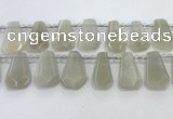 CTD2332 Top drilled 16*18mm - 20*30mm faceted freeform moonstone beads