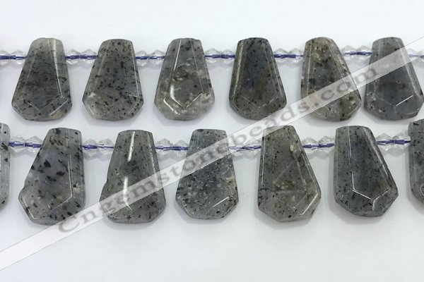 CTD2352 Top drilled 16*18mm - 20*30mm freeform moss quartz beads