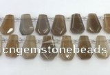 CTD2363 Top drilled 16*18mm - 20*30mm faceted freeform moonstone beads