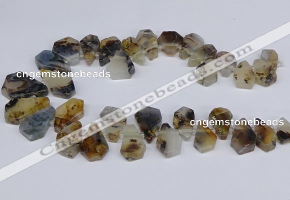 CTD2732 Top drilled 15*20mm - 25*35mm freeform montana agate beads